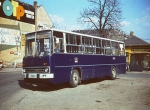 buszos