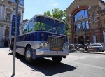 buszos
