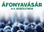 afonyavasar_kicsi.jpg