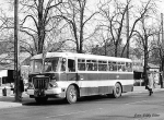 busz