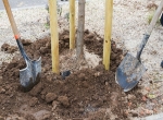 marczibanyi_ter_faultetes_kicsi.jpg