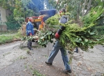 agapritas_2023_kicsi.jpg