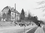 Virag_arok_ovoda_archiv_kicsi.jpg