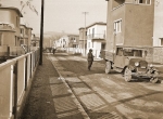 Pasaret_Napraforgo_fortepan_135178_kicsi.jpg