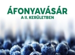 afonyavasar_kicsi.jpg